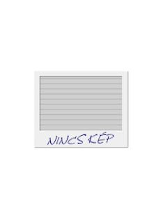 Előkerti szabályzó-mérőállomás KT-2 előlap